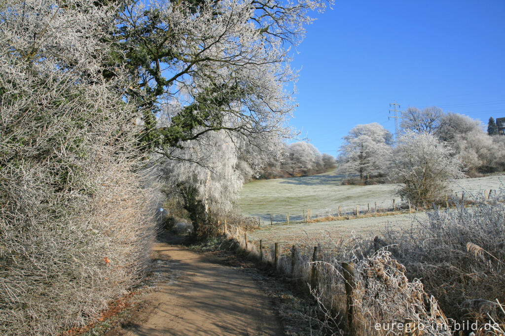 Detailansicht von Wurmtal im Winter, südlich vom Teuterhof