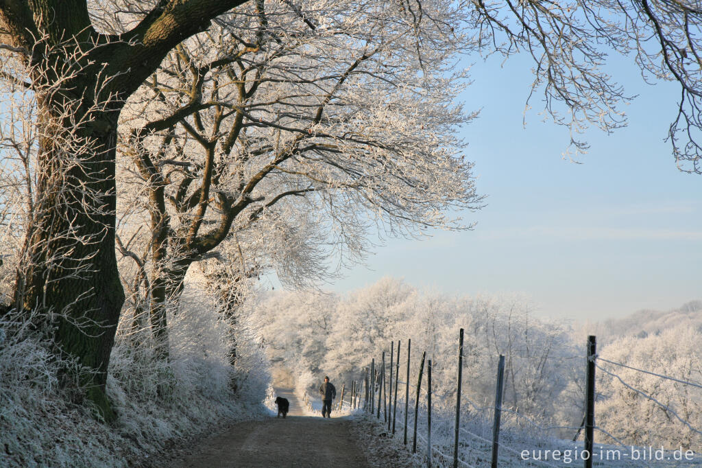 Detailansicht von Wurmtal im Winter, südlich vom Teuterhof