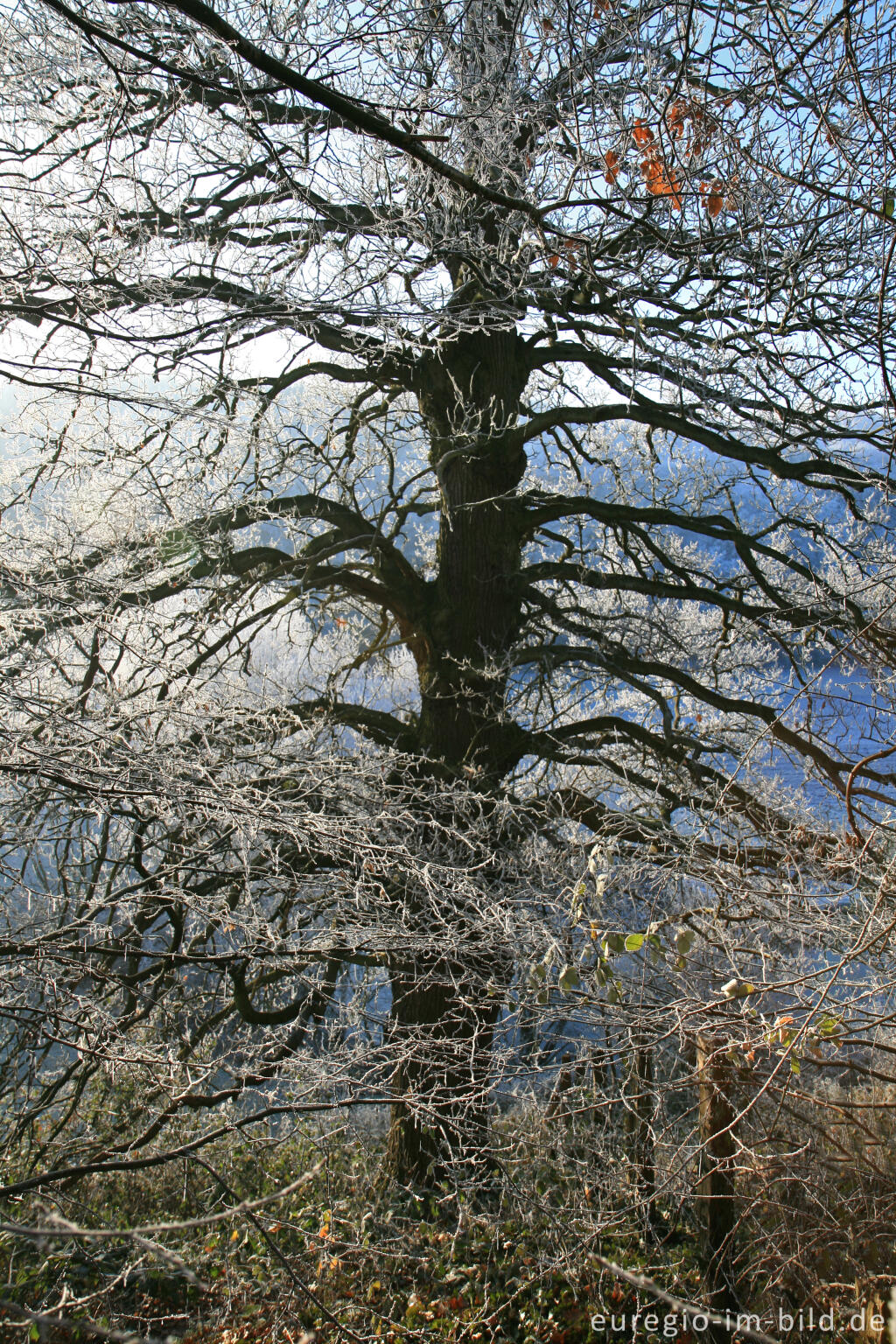 Detailansicht von Wurmtal im Winter, südlich vom Teuterhof