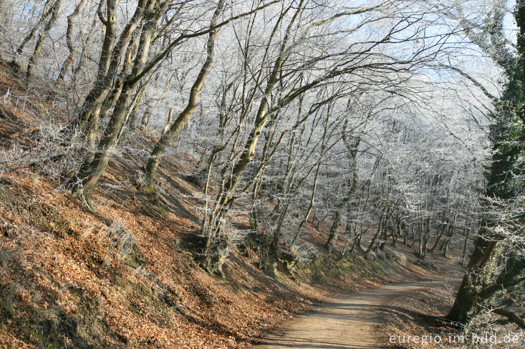 Detailansicht von Wurmtal im Winter, südlich vom Teuterhof