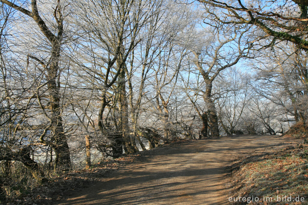 Detailansicht von Wurmtal im Winter, südlich vom Teuterhof