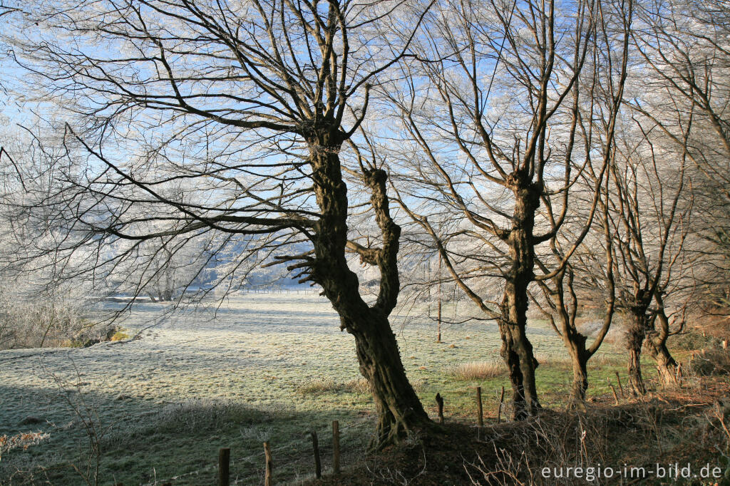 Detailansicht von Wurmtal im Winter, südlich vom Teuterhof