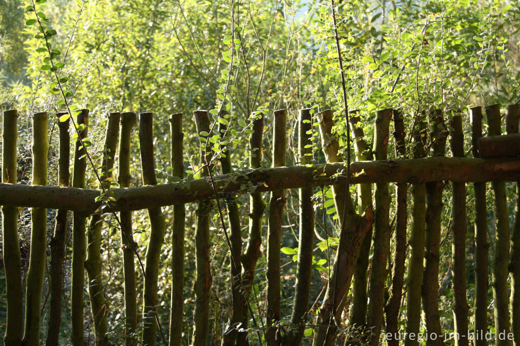 Detailansicht von Zaun beim Seepavillon,  Hospizgarten des Hortus Dialogus