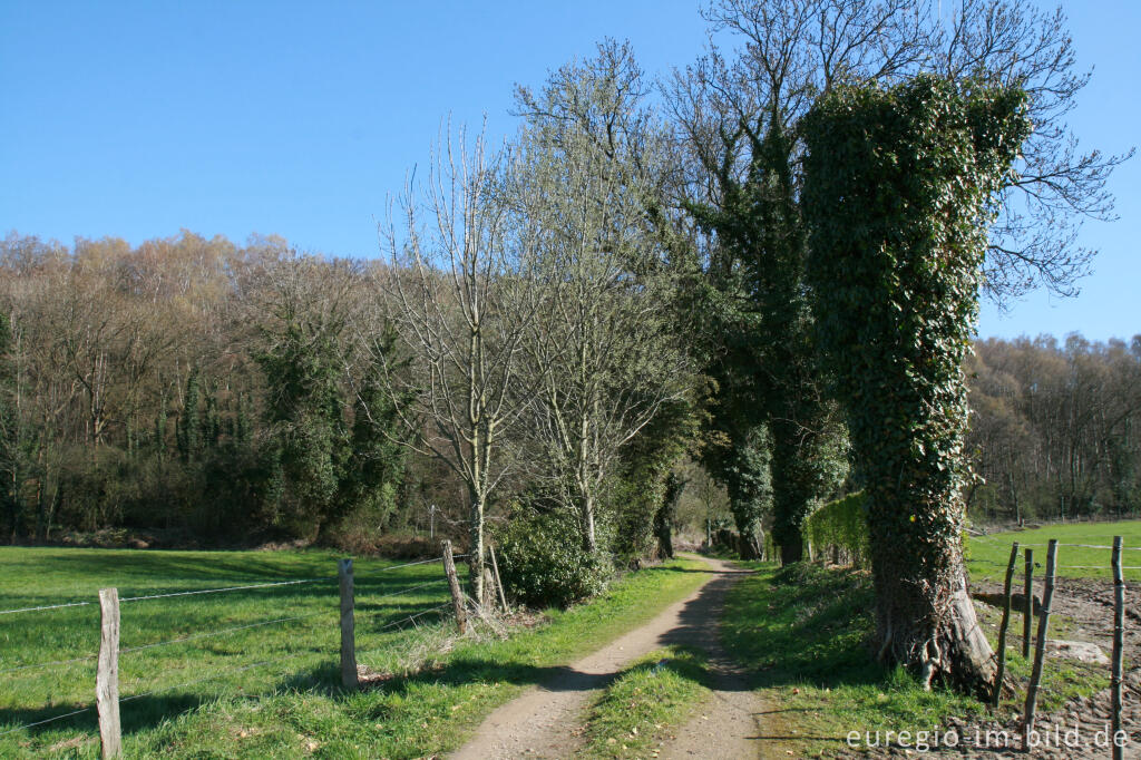 Detailansicht von Zugang zum Grube-Adolf-Park von Plitschard aus