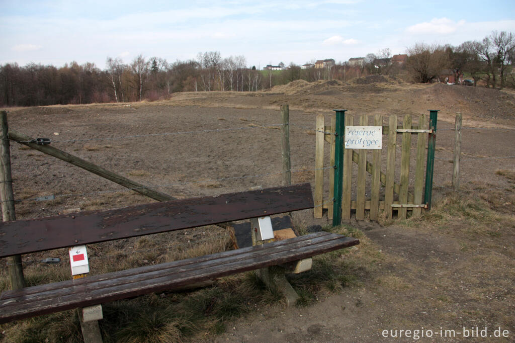 Detailansicht von Zugang zur Galmeihalde bei Plombières