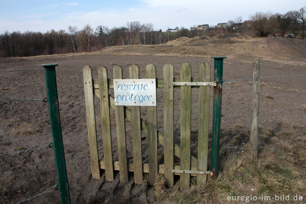 Detailansicht von Zugang zur Galmeihalde bei Plombières