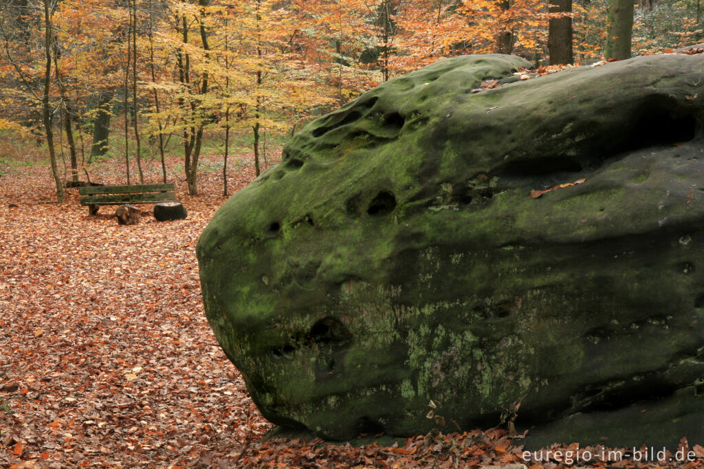 Detailansicht von Zyklopenstein im Aachener Wald