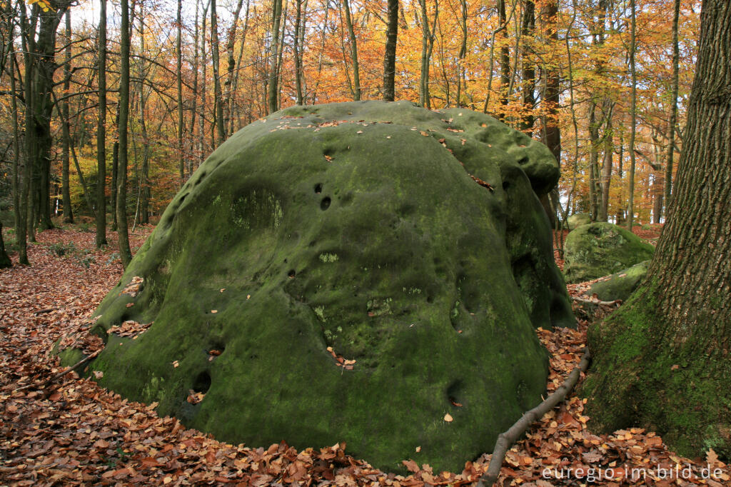 Detailansicht von Zyklopenstein im Aachener Wald