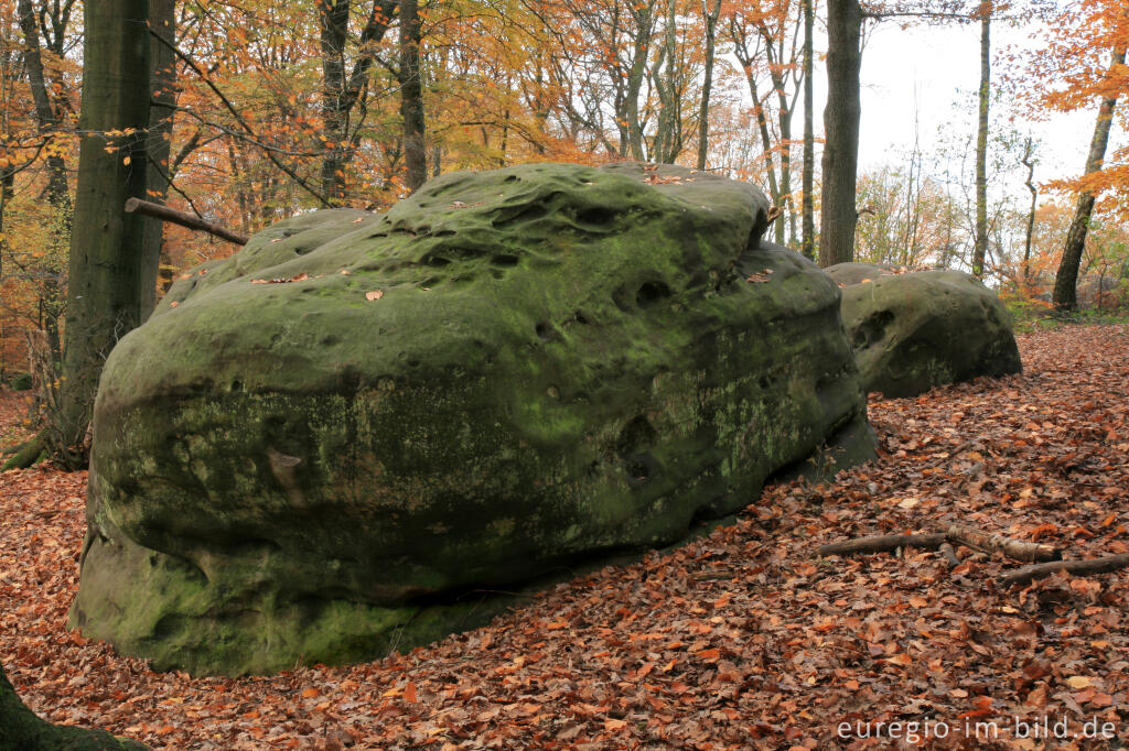 Detailansicht von Zyklopenstein im Aachener Wald