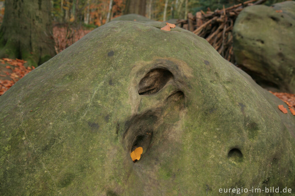 Detailansicht von Zyklopenstein im Aachener Wald