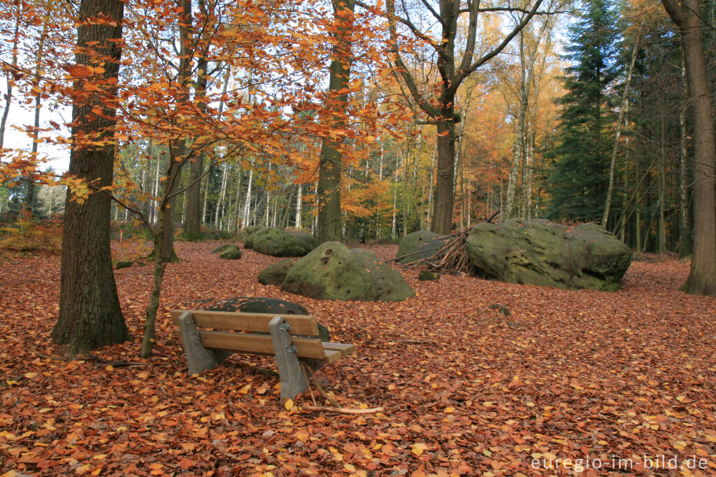 Detailansicht von Zyklopensteine im Aachener Wald