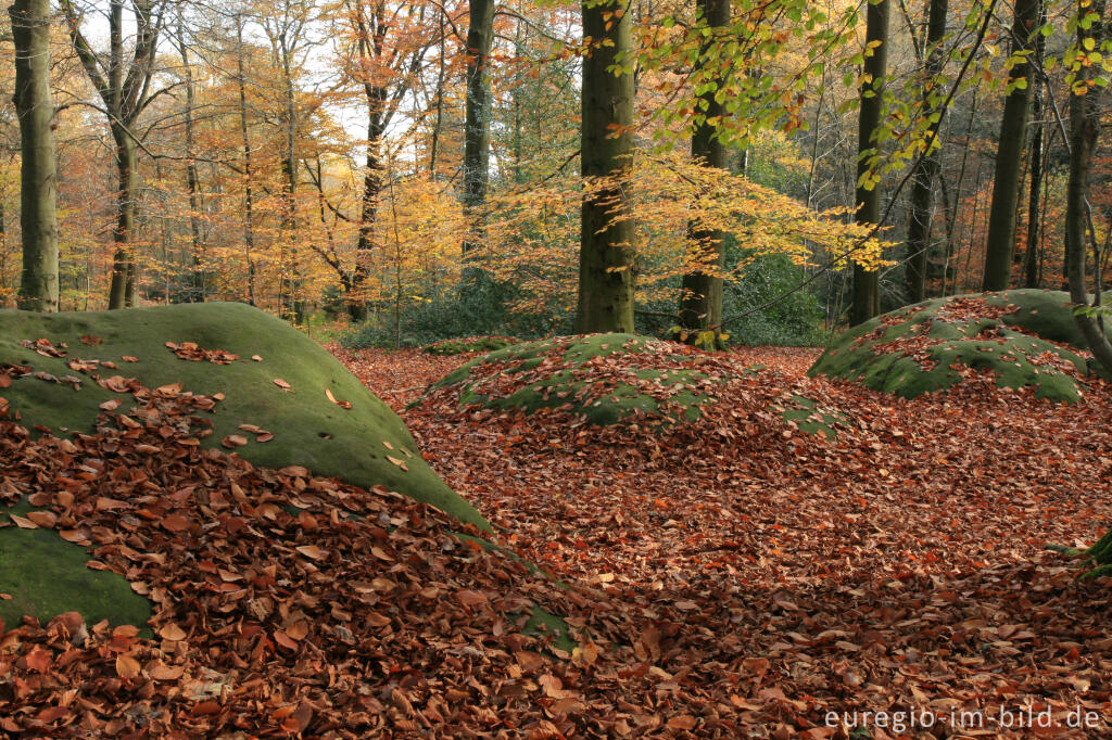 Detailansicht von Zyklopensteine im Aachener Wald