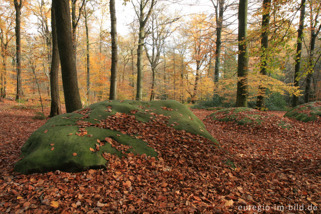 Detailansicht von Zyklopensteine im Aachener Wald