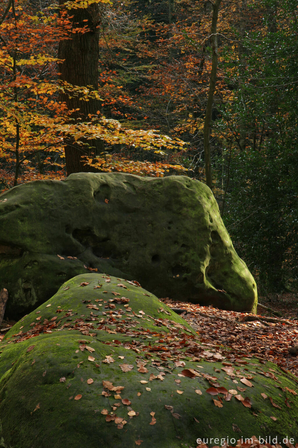 Detailansicht von Zyklopensteine im Aachener Wald