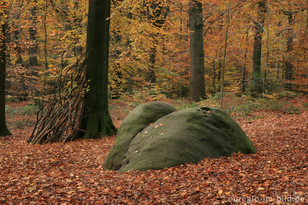 Detailansicht von Zyklopensteine im Aachener Wald