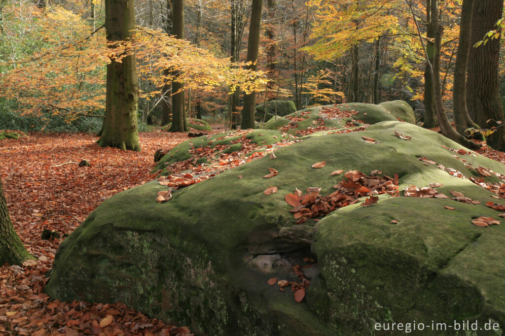 Detailansicht von Zyklopensteine im Aachener Wald