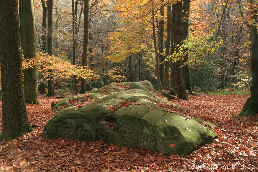 Detailansicht von Zyklopensteine im Aachener Wald