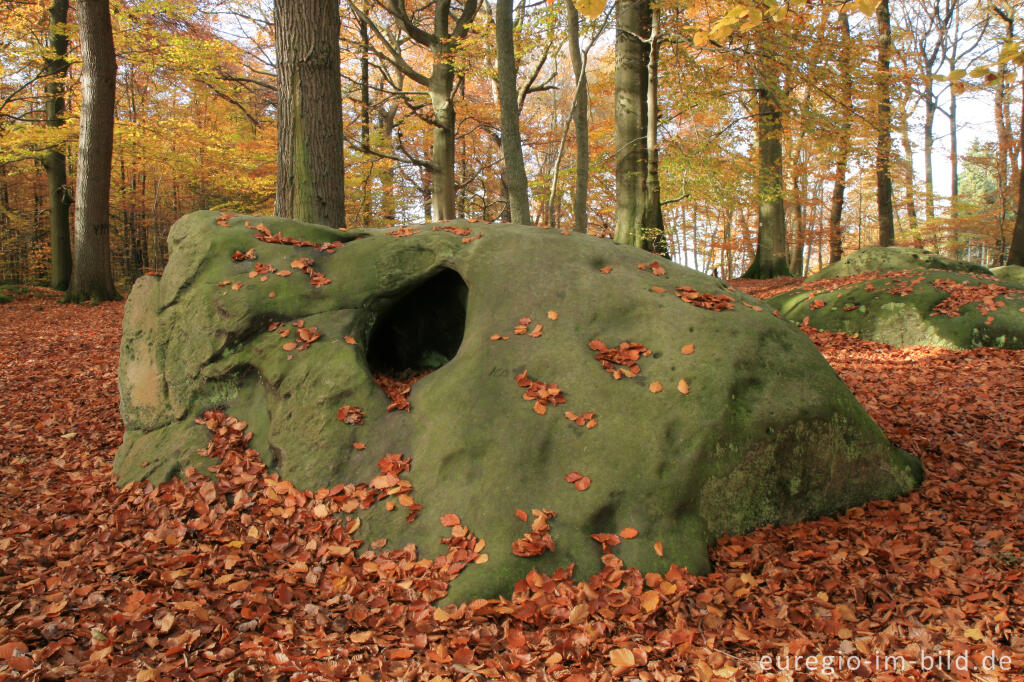 Detailansicht von Zyklopensteine im Aachener Wald