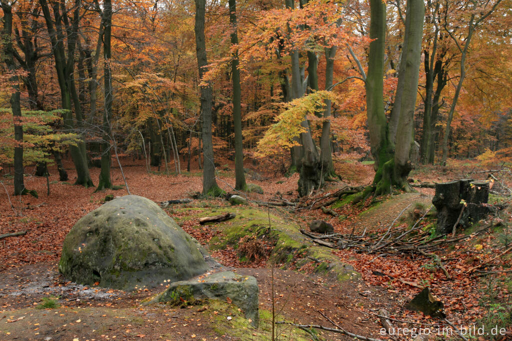 Detailansicht von Zyklopensteine mit Aachener Landwehr