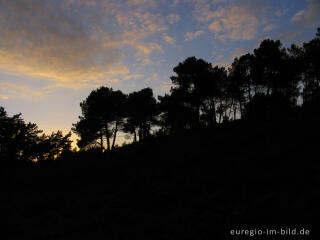 Abendstimmung in der Brunssumer Heide