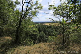 Am oberen Rand des Lavaabbaugebiets auf dem Karmelenberg, Vulkaneifel