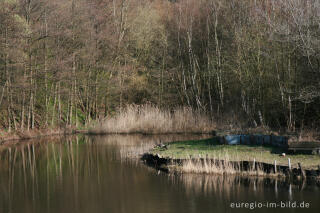 Angelweiher im Grube-Adolf-Park bei Plitschard