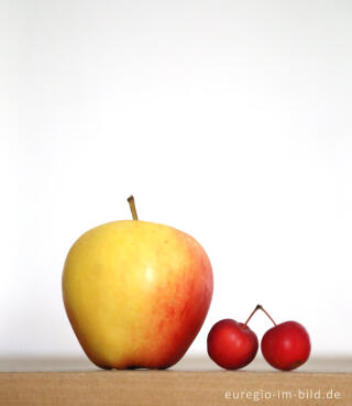 Apfel in normaler Größe und roter Zierapfel