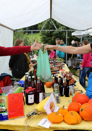 Auf dem 9. Aachener Obstwiesenfest 2015