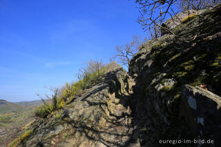 Auf dem Ahrsteig zwischen Altenburg und Altenahr