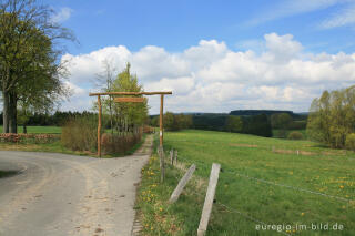 Auf dem Eifelsteig bei Höfen, Natinalparktor