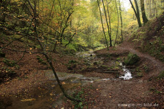 Auf dem Eifelsteig im Butzerbachtal, Südeifel