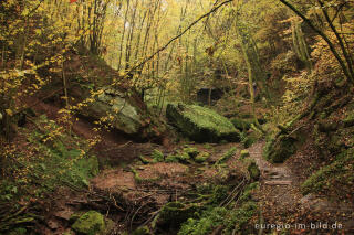 Auf dem Eifelsteig im Butzerbachtal, Südeifel