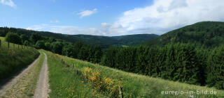 Auf dem Eifelsteig zwischen Dedenborn und Einruhr