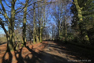 Auf dem  Häckeltches Weg, "Dorfrundgang Lammersdorf"