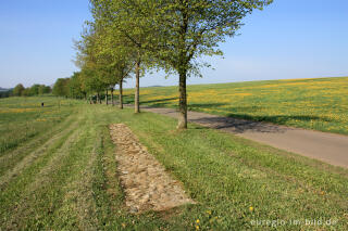 Auf dem Hillesheimer Barfußpfad im Bolsdorfer Tälchen 