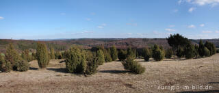 Auf dem Kalvarienberg von Alendorf, Gemeinde Blankenheim