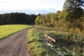 Auf dem Lieserpfad / Eifelsteig nördlich von Manderscheid