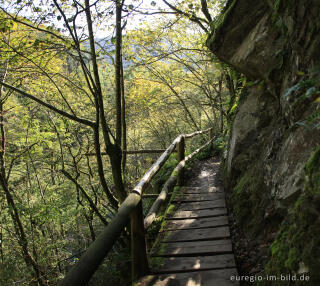 Auf dem Lieserpfad / Eifelsteig, südlich von Manderscheid