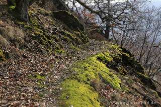 Auf dem Meuchelberg bei Heimbach