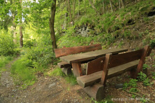 Auf dem Panoramaweg von Monschau