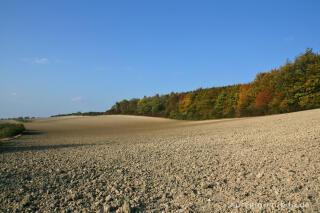 Auf dem Schneeberg