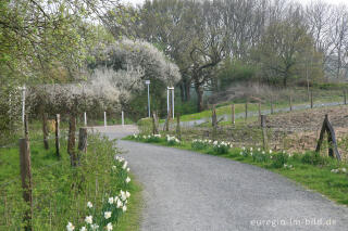 Auf dem Weißen Weg, Herzogenrath-Kohlscheid