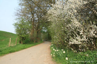 Auf dem Weißen Weg, Herzogenrath-Kohlscheid