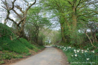 Auf dem Weißen Weg, Herzogenrath-Kohlscheid