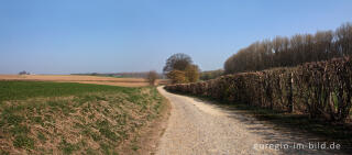 Auf dem Weißen Weg im Heyder Ländchen bei Aachen Horbach