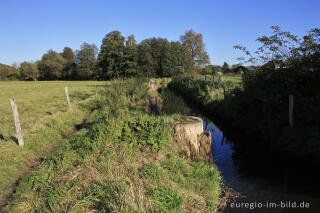 Auf dem Weißen Weg in der Soers bei Aachen