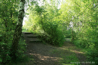 Auf der großen Kalkhalde, Kalkhaldenpark Würselen