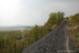 Auf der Halde des Carl-Alexander-Parks, Baesweiler