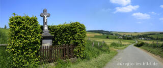 Auf der Ourtal-Route zwischen Burg Reuland und Bracht