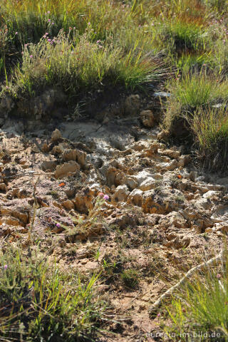 Ausgetrocknetes Quellgebiet auf dem Struffelt